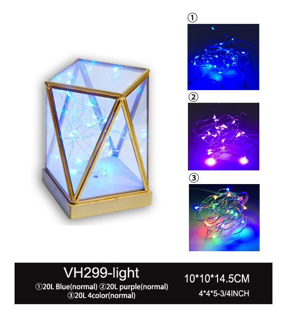 VH299 - light